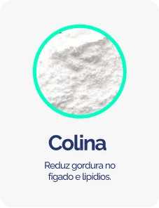 Colina-1.png